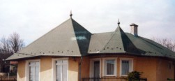 zsindely 10
