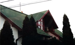 zsindely 8
